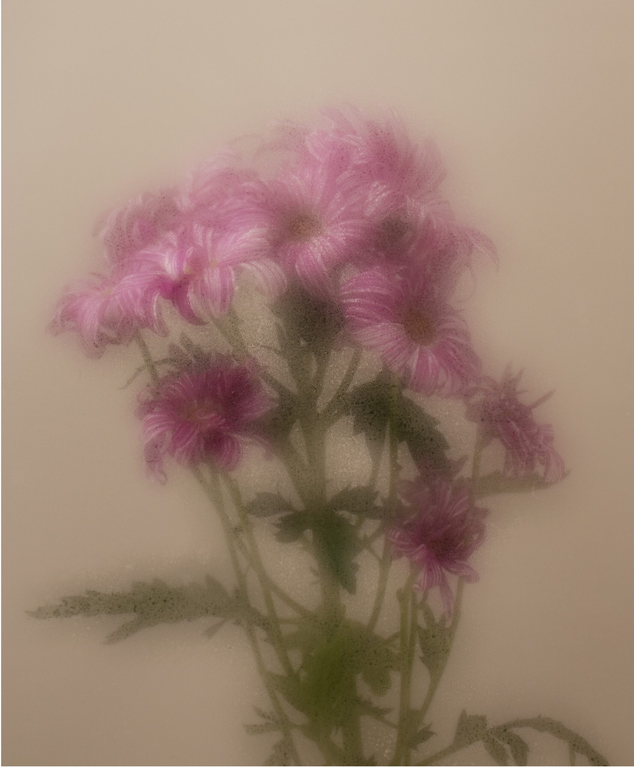 colorful humidity glass